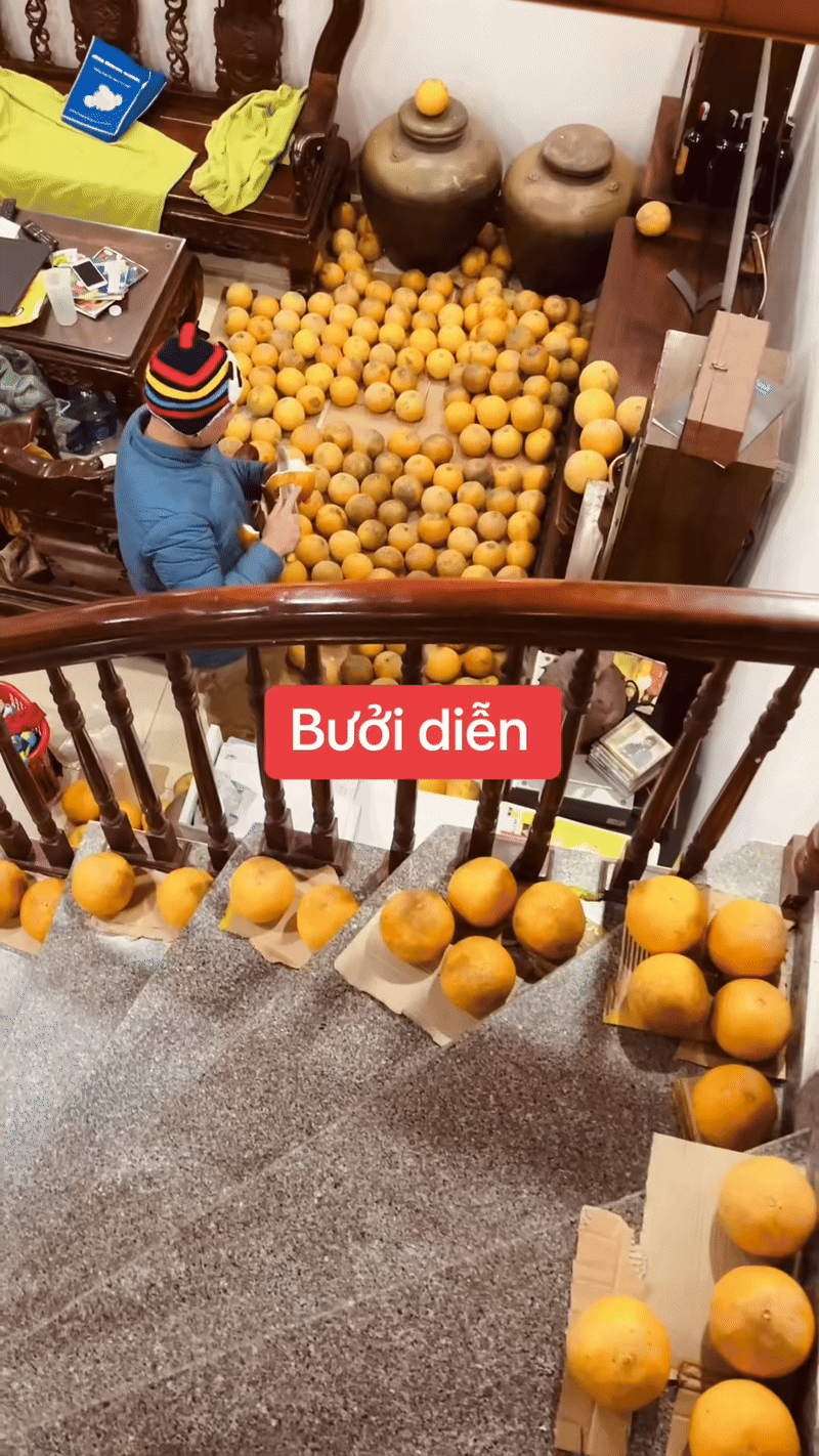 Trung bình nhà miền Bắc mỗi dịp Tết: Càng xem càng dejavu, cảnh tượng này trong mơ cũng vẫn ám ảnh- Ảnh 3.