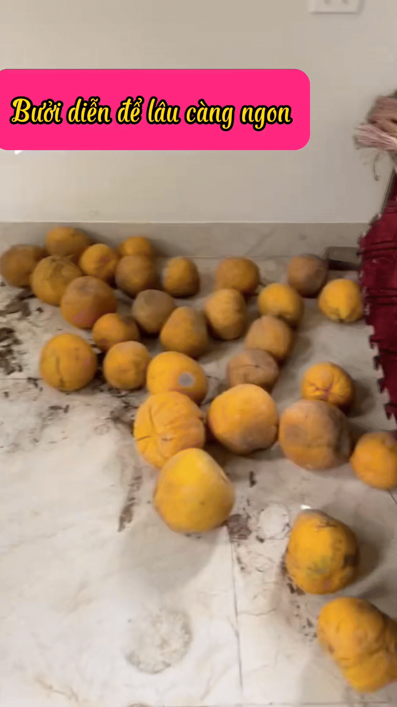 Trung bình nhà miền Bắc mỗi dịp Tết: Càng xem càng dejavu, cảnh tượng này trong mơ cũng vẫn ám ảnh- Ảnh 4.