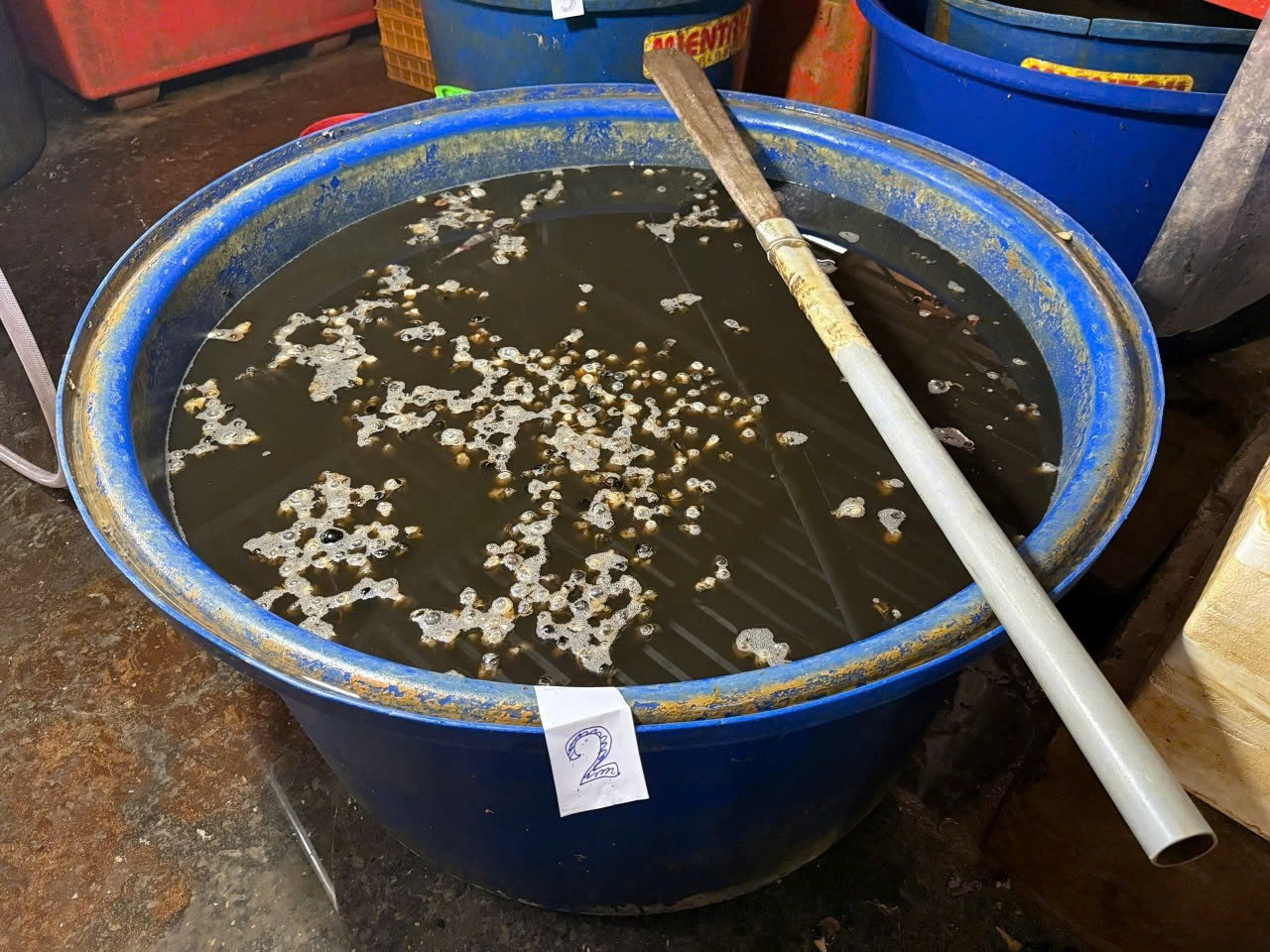 Đột kích cơ sở làm thực phẩm bẩn: Cơ quan chức năng phát hiện 3 tấn thịt ốc bươu đang được ngâm tẩm hóa chất chuyên dùng xây dựng, sản xuất gạch, xi măng - Ảnh 2.