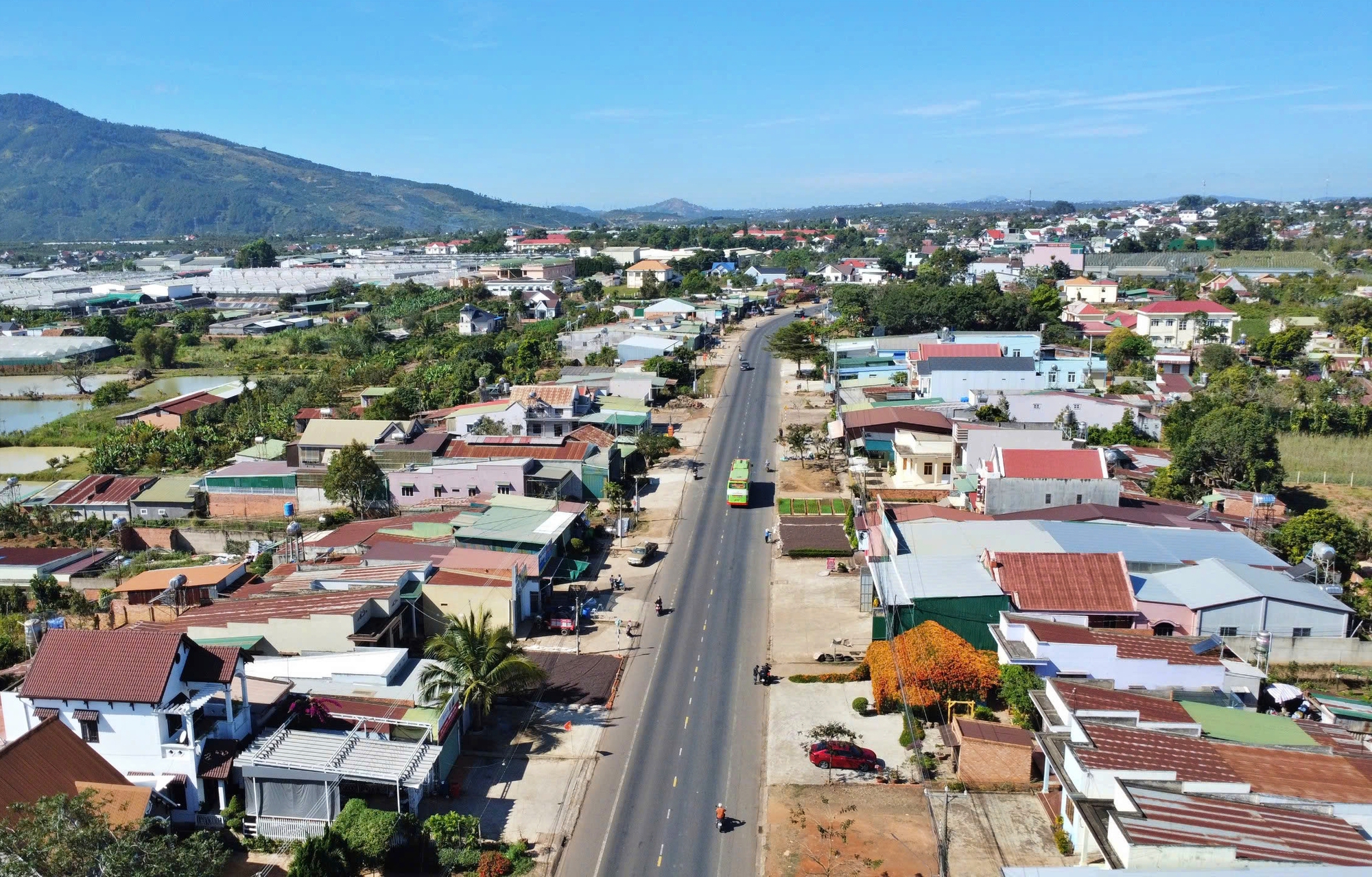 Căn nhà dưới tán hoa xác pháo, đang "nổi như cồn" ở Lâm Đồng - Ảnh 1.