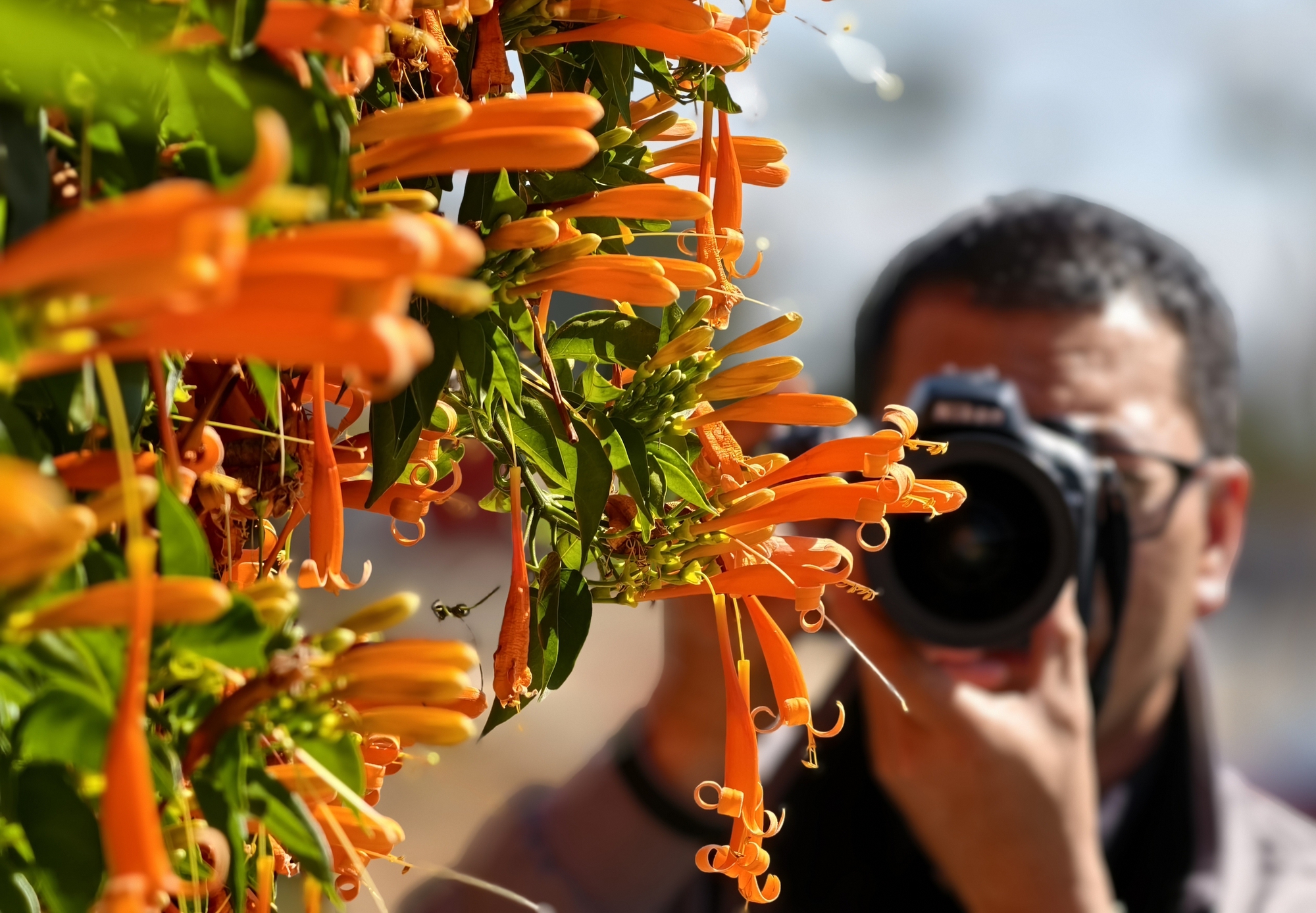 Căn nhà dưới tán hoa xác pháo, đang "nổi như cồn" ở Lâm Đồng - Ảnh 17.