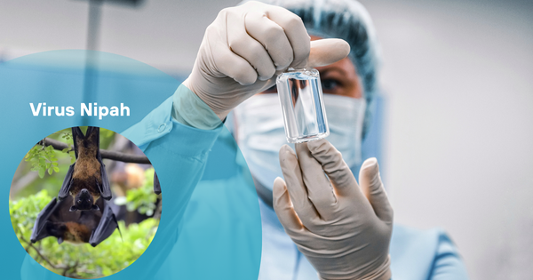 Trung Quốc phát hiện thuốc phòng chống virus Nipah hiệu quả- Ảnh 1.