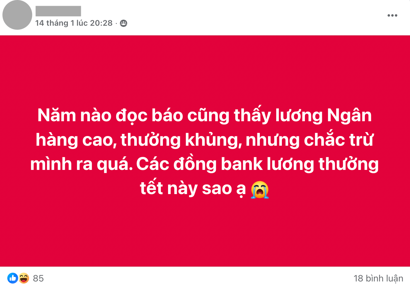 THƯỞNG TẾT ngân hàng: Chủ đề nóng nhất lúc này, người trong ngành "kể hết" - Ảnh 3. THƯỞNG TẾT ngân hàng: Chủ đề nóng nhất lúc này, người trong ngành "kể hết" - Ảnh 3.