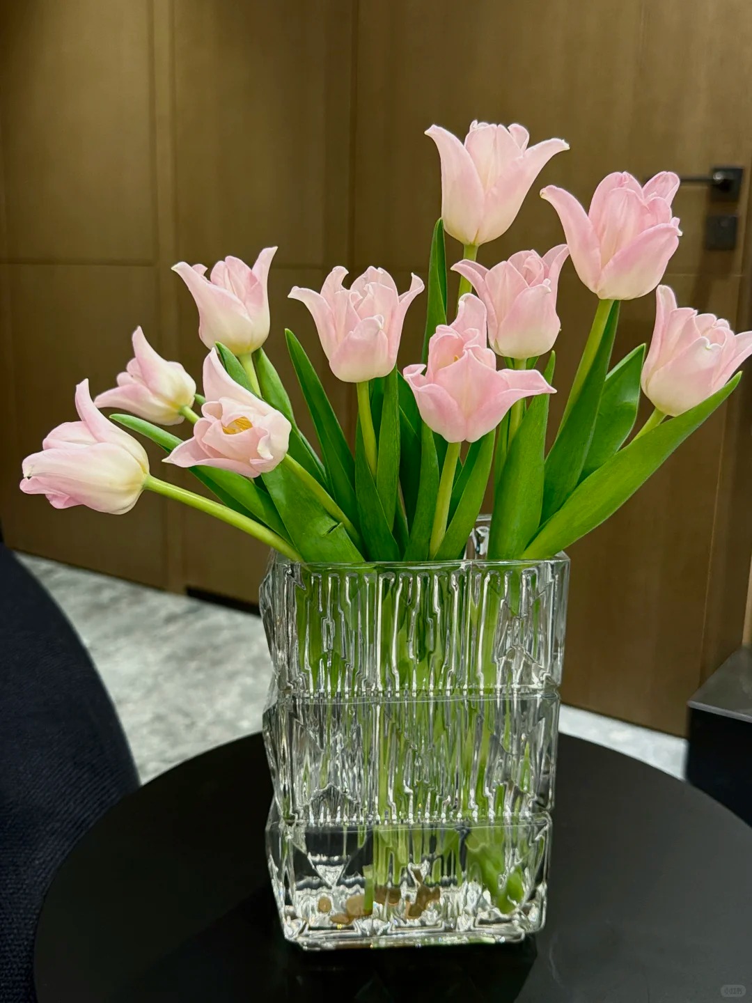 Đừng chỉ cắm lay ơn hay thược dược, Tết này thử ngay loài hoa "đổi màu" diệu kỳ: Ban đầu trắng muốt, càng ngắm càng ra tiền!- Ảnh 8.