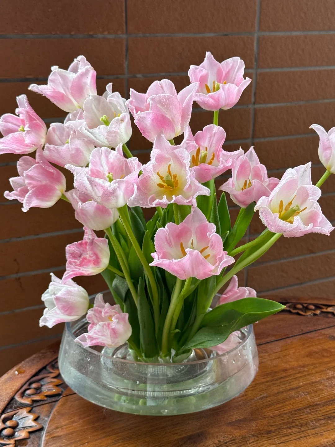 Đừng chỉ cắm lay ơn hay thược dược, Tết này thử ngay loài hoa "đổi màu" diệu kỳ: Ban đầu trắng muốt, càng ngắm càng ra tiền!- Ảnh 10.