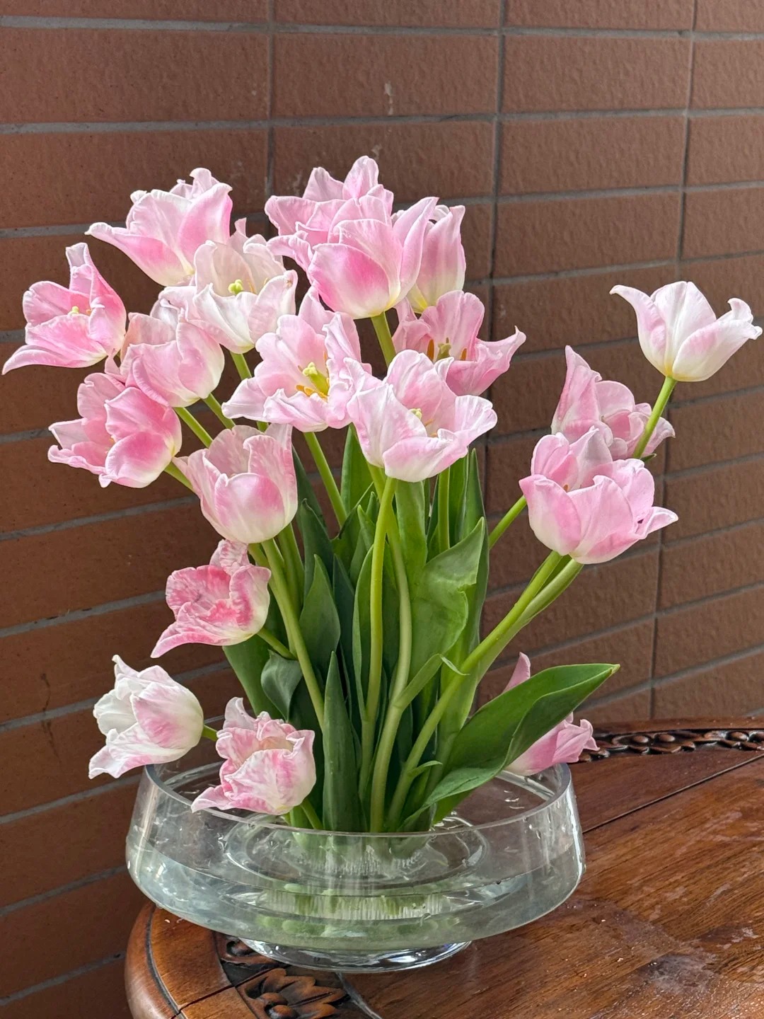 Đừng chỉ cắm lay ơn hay thược dược, Tết này thử ngay loài hoa "đổi màu" diệu kỳ: Ban đầu trắng muốt, càng ngắm càng ra tiền!- Ảnh 11.