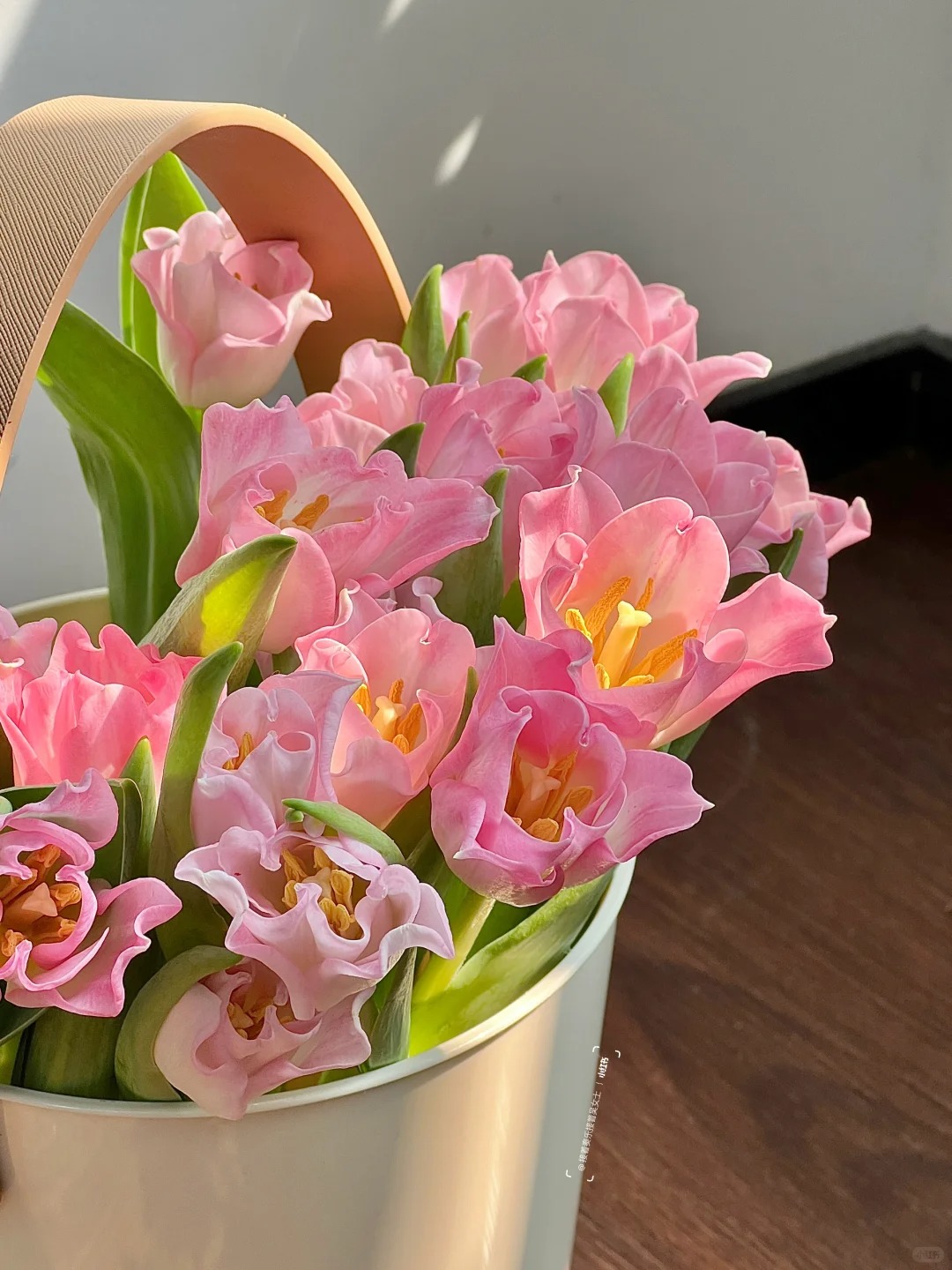 Đừng chỉ cắm lay ơn hay thược dược, Tết này thử ngay loài hoa "đổi màu" diệu kỳ: Ban đầu trắng muốt, càng ngắm càng ra tiền!- Ảnh 2.