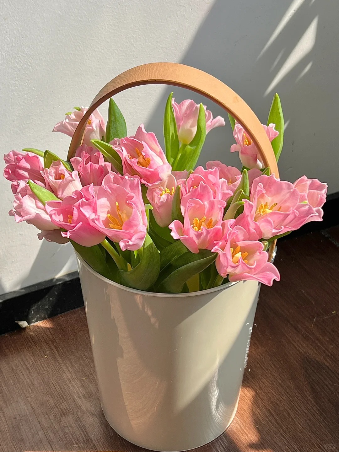 Đừng chỉ cắm lay ơn hay thược dược, Tết này thử ngay loài hoa "đổi màu" diệu kỳ: Ban đầu trắng muốt, càng ngắm càng ra tiền!- Ảnh 3.