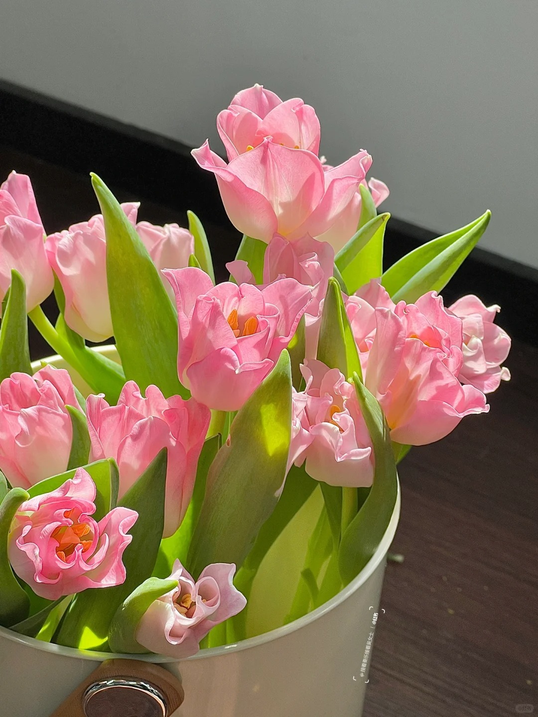 Đừng chỉ cắm lay ơn hay thược dược, Tết này thử ngay loài hoa "đổi màu" diệu kỳ: Ban đầu trắng muốt, càng ngắm càng ra tiền!- Ảnh 4.