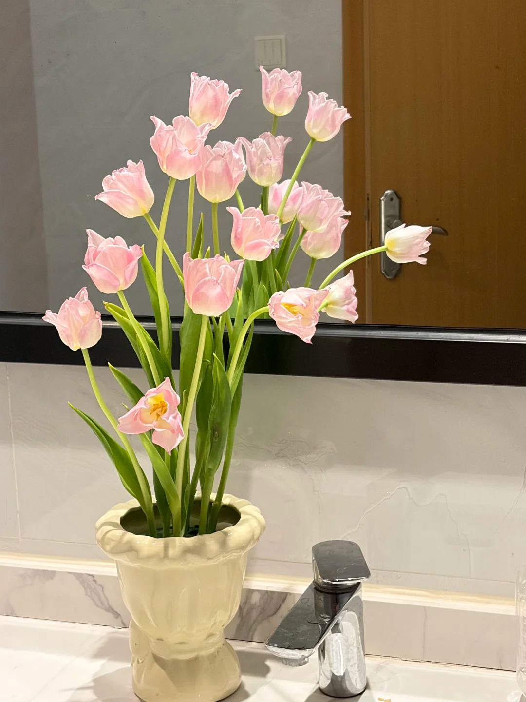 Đừng chỉ cắm lay ơn hay thược dược, Tết này thử ngay loài hoa "đổi màu" diệu kỳ: Ban đầu trắng muốt, càng ngắm càng ra tiền!- Ảnh 7.