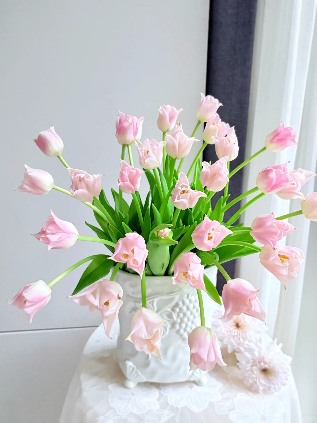 Đừng chỉ cắm lay ơn hay thược dược, Tết này thử ngay loài hoa "đổi màu" diệu kỳ: Ban đầu trắng muốt, càng ngắm càng ra tiền!- Ảnh 15.