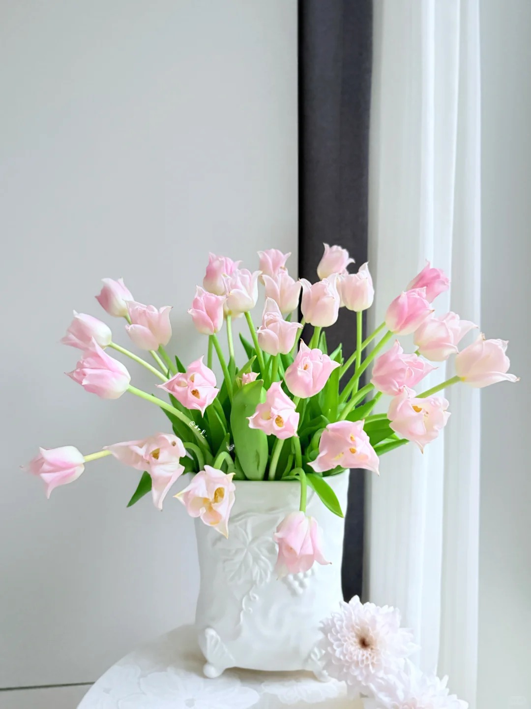 Đừng chỉ cắm lay ơn hay thược dược, Tết này thử ngay loài hoa "đổi màu" diệu kỳ: Ban đầu trắng muốt, càng ngắm càng ra tiền!- Ảnh 16.