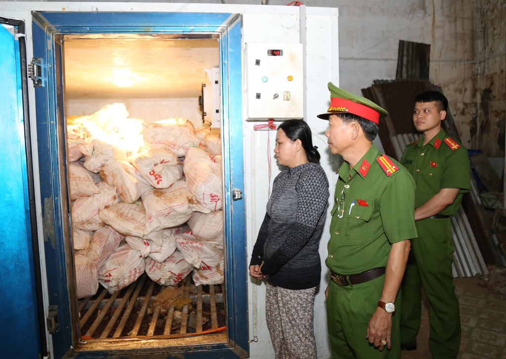 Thi hành lệnh bắt tạm giam và khám xét đối với Lê Thị Bích Phượng - Ảnh 1.