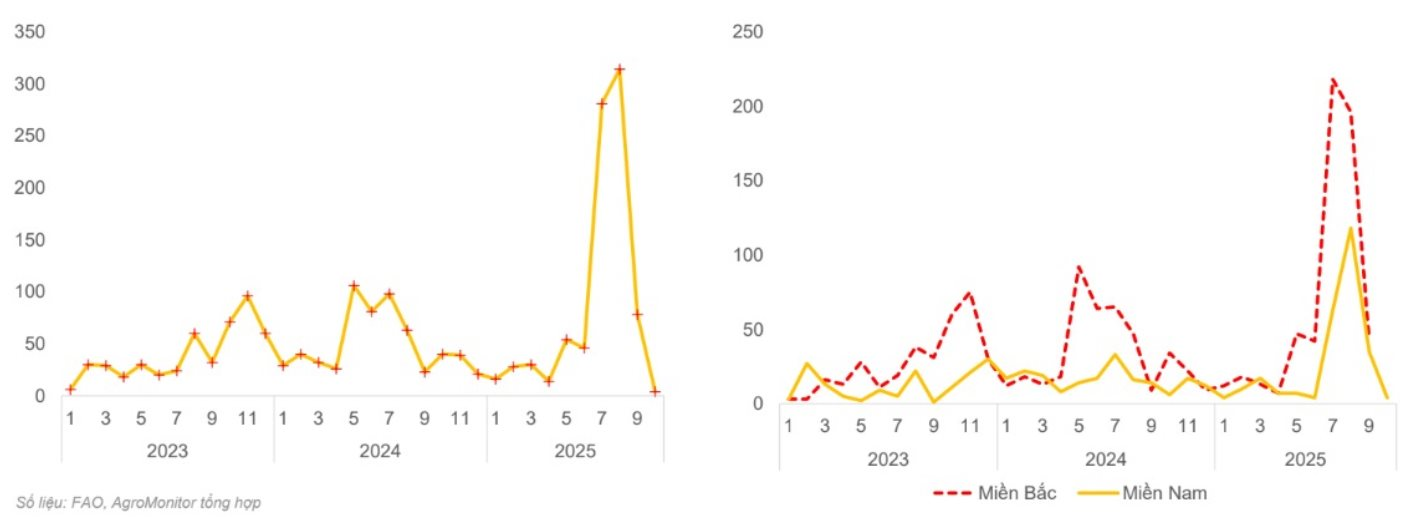 Phó Tổng giám đốc BAF: Dịch tả heo châu Phi là “bài toán sống còn”, ngành bước vào chu kỳ tái cấu trúc, giá heo 2026–2028 có thể đi theo 2 kịch bản - Ảnh 1.