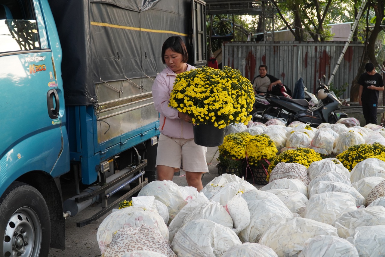 Ấm lòng ngày giáp Tết: Người dân TP.HCM chung tay giải cứu từng chậu cúc mâm xôi, giúp bà con nông dân miền Tây vơi bớt nỗi lo mất mùa- Ảnh 6.