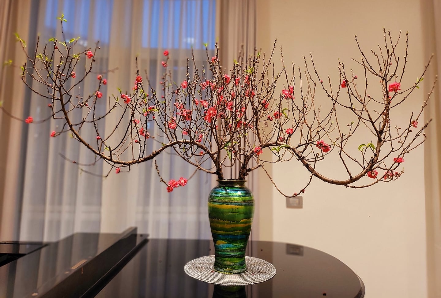 5 loại hoa chơi Tết “không có đỉnh nhất chỉ có đỉnh hơn”: Chưng xong chỉ ngẩn ngơ ngắm, đẹp đến nỗi cạn từ khen- Ảnh 1. 5 loại hoa chơi Tết “không có đỉnh nhất chỉ có đỉnh hơn”: Chưng xong chỉ ngẩn ngơ ngắm, đẹp đến nỗi cạn từ khen- Ảnh 1.