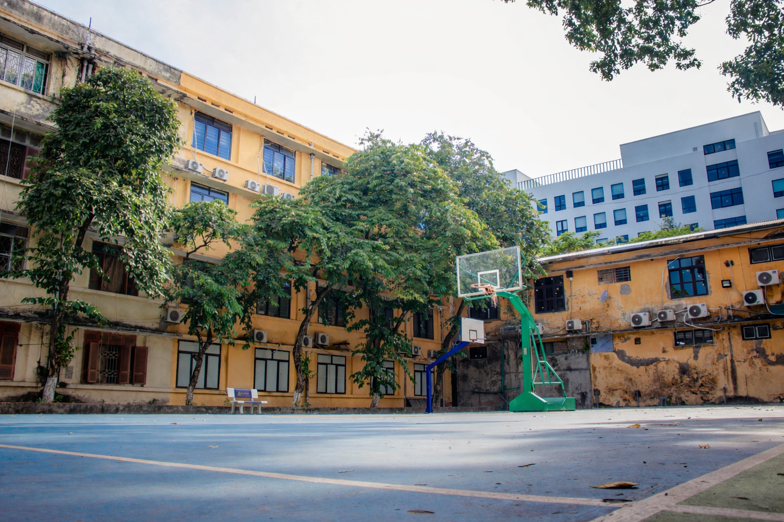 Ở Việt Nam, có một đại học "đi bộ 5 năm chưa hết ngóc ngách của trường", sinh viên được cộng điểm nếu... đi xe bus- Ảnh 5. Ở Việt Nam, có một đại học "đi bộ 5 năm chưa hết ngóc ngách của trường", sinh viên được cộng điểm nếu... đi xe bus- Ảnh 5.