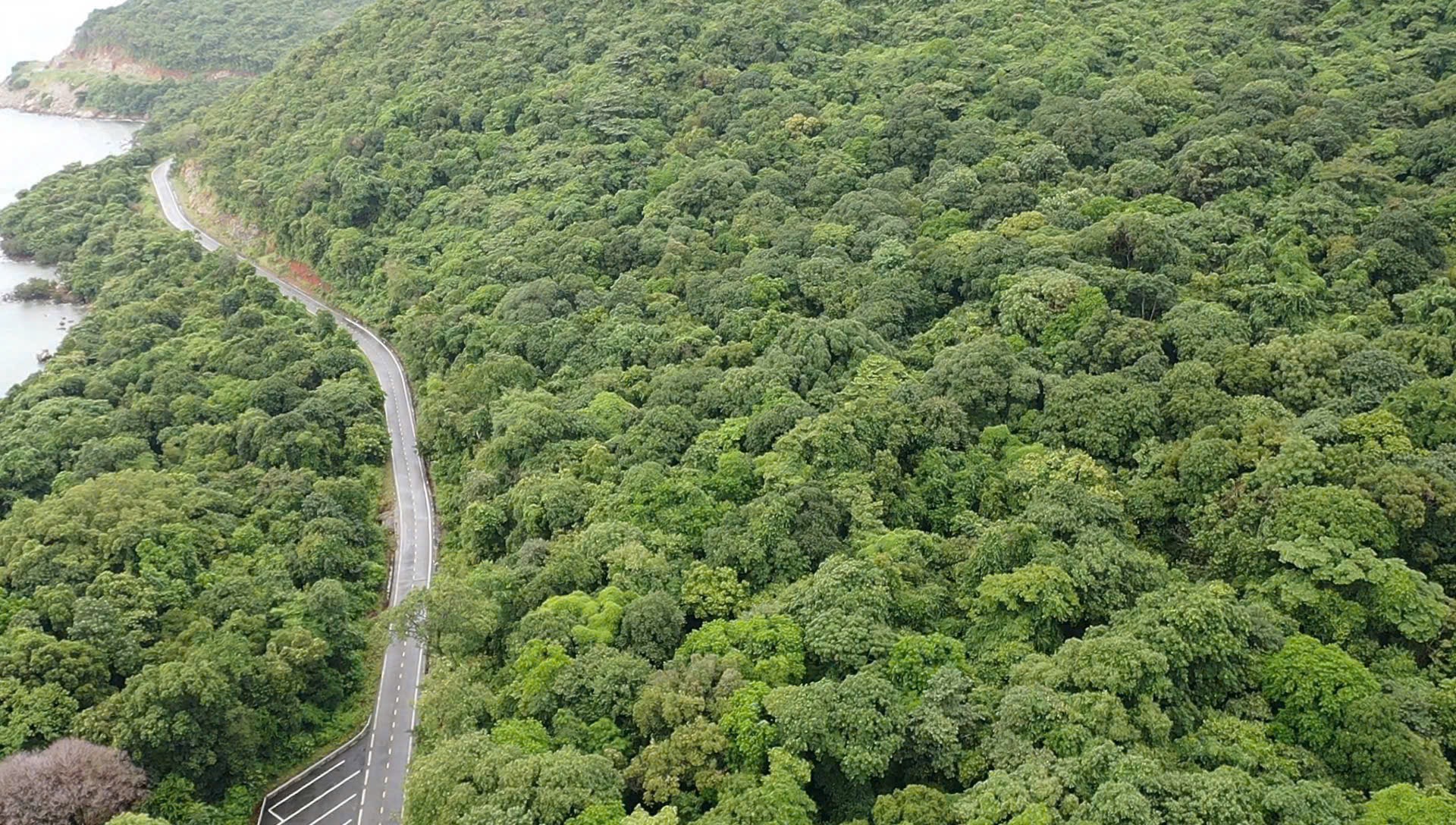 Thanh tra chuyển mục đích sử dụng đất rừng cho nhà máy xử lý rác Côn Đảo - Ảnh 1.