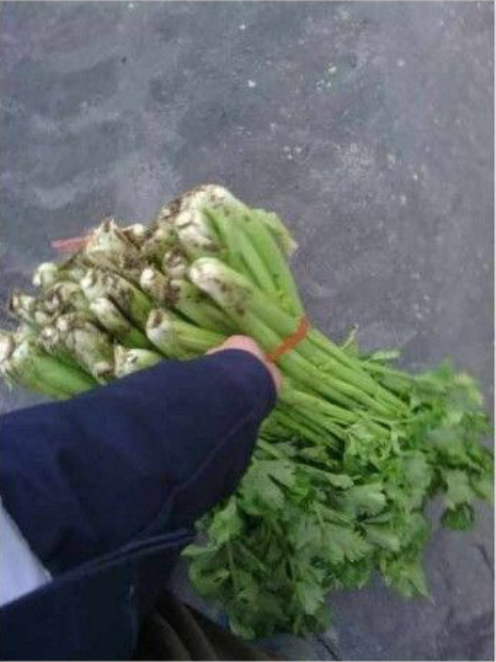 photo-1769575229682 photo-1769575229682