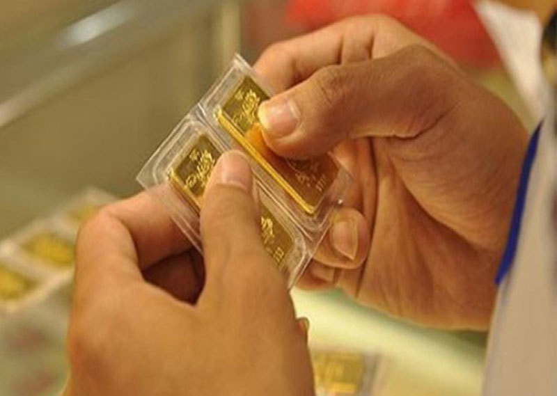 photo-1769575261561 photo-1769575261561