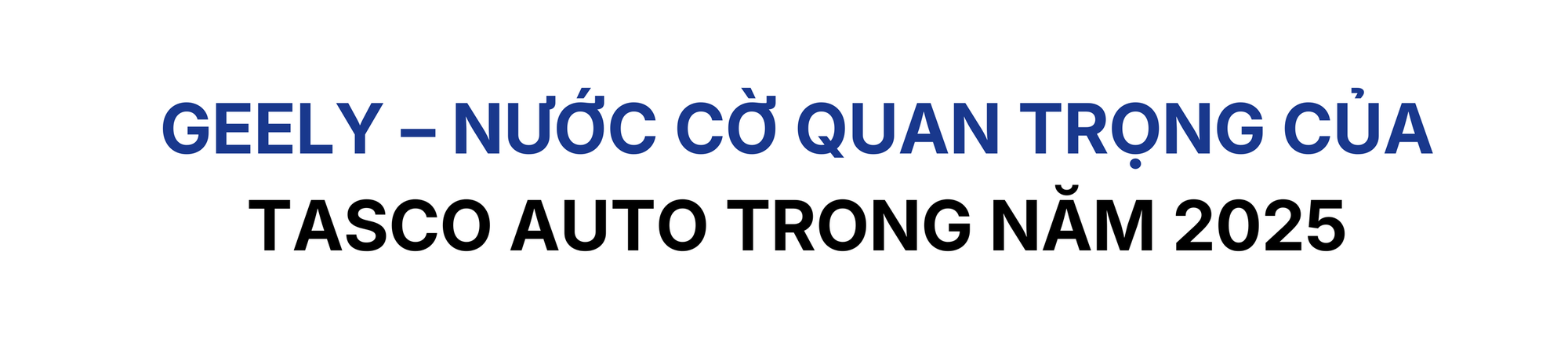 150 showroom, 70 xưởng dịch vụ trong năm 2025, Tasco Auto đang tính toán điều gì tiếp theo? - Ảnh 1.