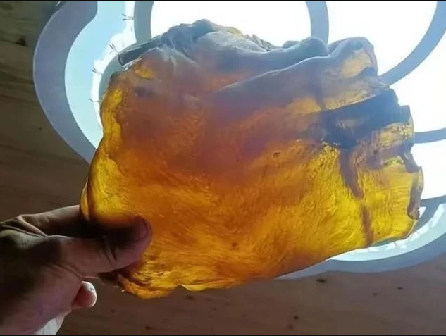 Mở thùng gạo phủ bụi, người đàn ông phát hiện vật thể bị lãng quên 50 năm, giá trị ngang căn biệt thự - Ảnh 1.