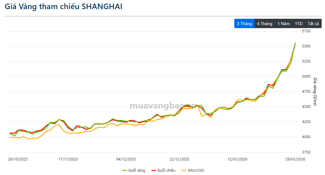 Giá bạc Thượng Hải tiếp tục phá đỉnh, chênh lệch với COMEX cao chưa từng thấy - Ảnh 3. Giá bạc Thượng Hải tiếp tục phá đỉnh, chênh lệch với COMEX cao chưa từng thấy - Ảnh 3.