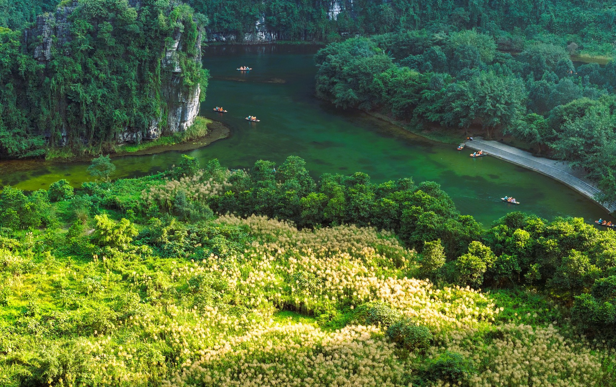 Tràng An say đắm lòng người mùa lau sậy trổ bông- Ảnh 14. Tràng An say đắm lòng người mùa lau sậy trổ bông- Ảnh 14.