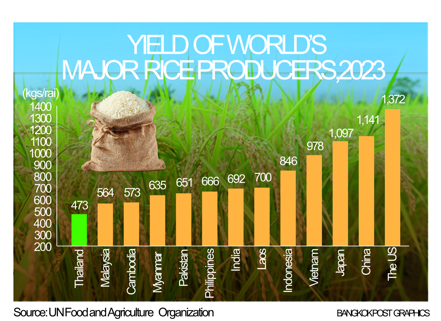 Việt Nam áp sát, Ấn Độ quay lại: Thương hiệu Thái Lan phai nhạt, chuyên gia cảnh báo nguy cơ mất thị phần- Ảnh 2. Việt Nam áp sát, Ấn Độ quay lại: Thương hiệu Thái Lan phai nhạt, chuyên gia cảnh báo nguy cơ mất thị phần- Ảnh 2.