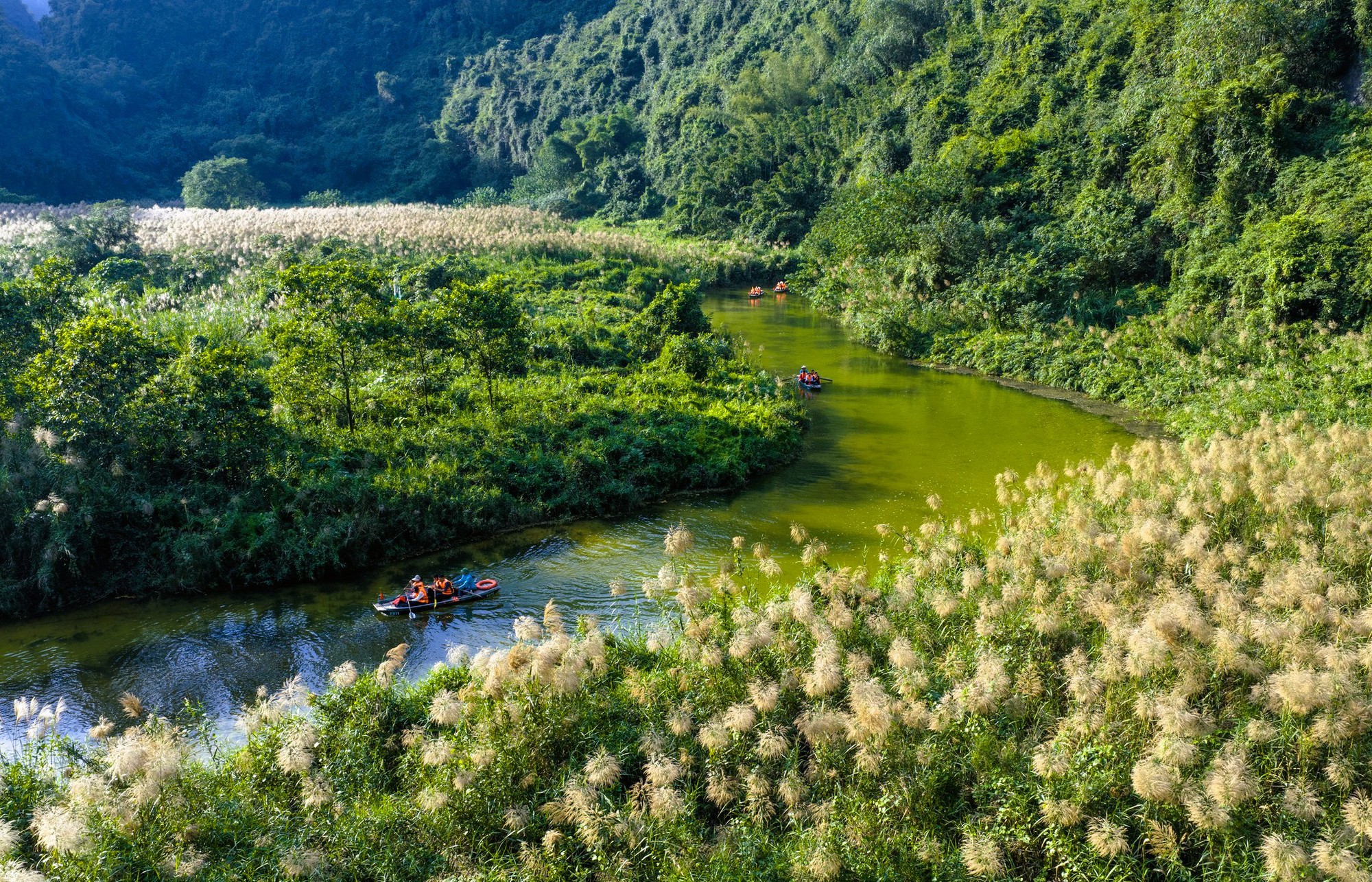 Tràng An say đắm lòng người mùa lau sậy trổ bông- Ảnh 6. Tràng An say đắm lòng người mùa lau sậy trổ bông- Ảnh 6.