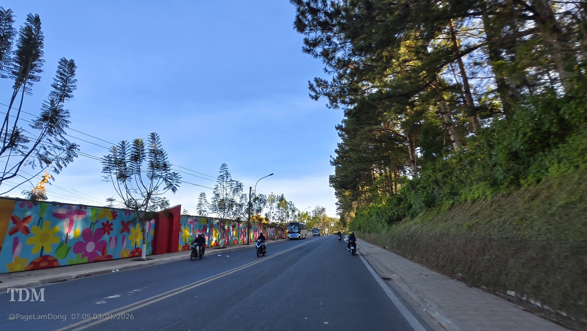 Cảnh tượng khó tin tại Đà Lạt trong dịp Tết dương lịch- Ảnh 7. Cảnh tượng khó tin tại Đà Lạt trong dịp Tết dương lịch- Ảnh 7.