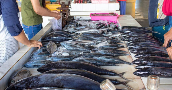 Bảo quản hải sản sai cách dễ gây ngộ độc: FDA cảnh báo 3 loại cá nguy hiểm nhất- Ảnh 1.