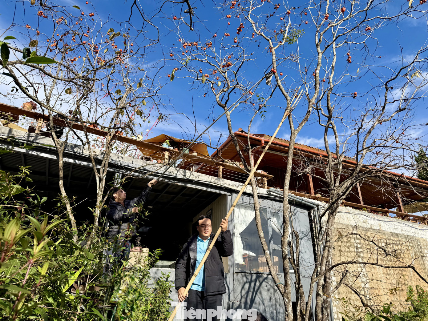 Du khách nô nức check-in giữa vườn hồng chất chill Đà Lạt- Ảnh 10.