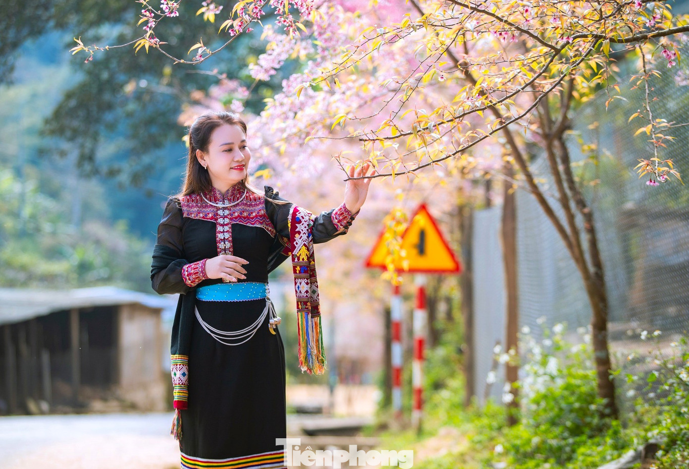 Đẹp nao lòng những bông hoa anh đào ở miền biên viễn xứ Nghệ- Ảnh 11.