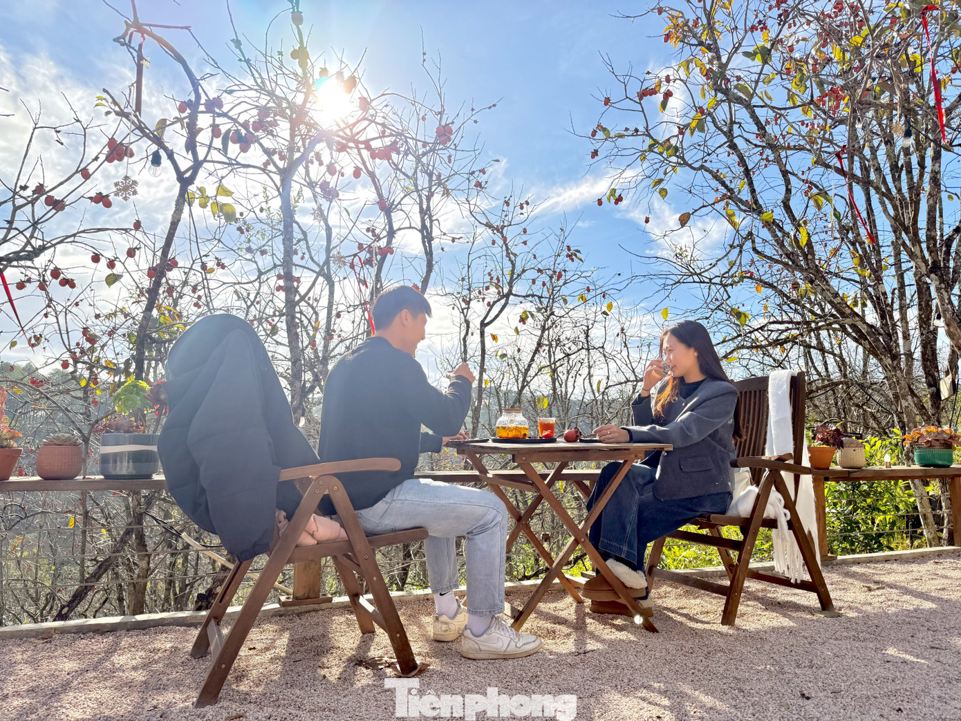 Du khách nô nức check-in giữa vườn hồng chất chill Đà Lạt- Ảnh 14.