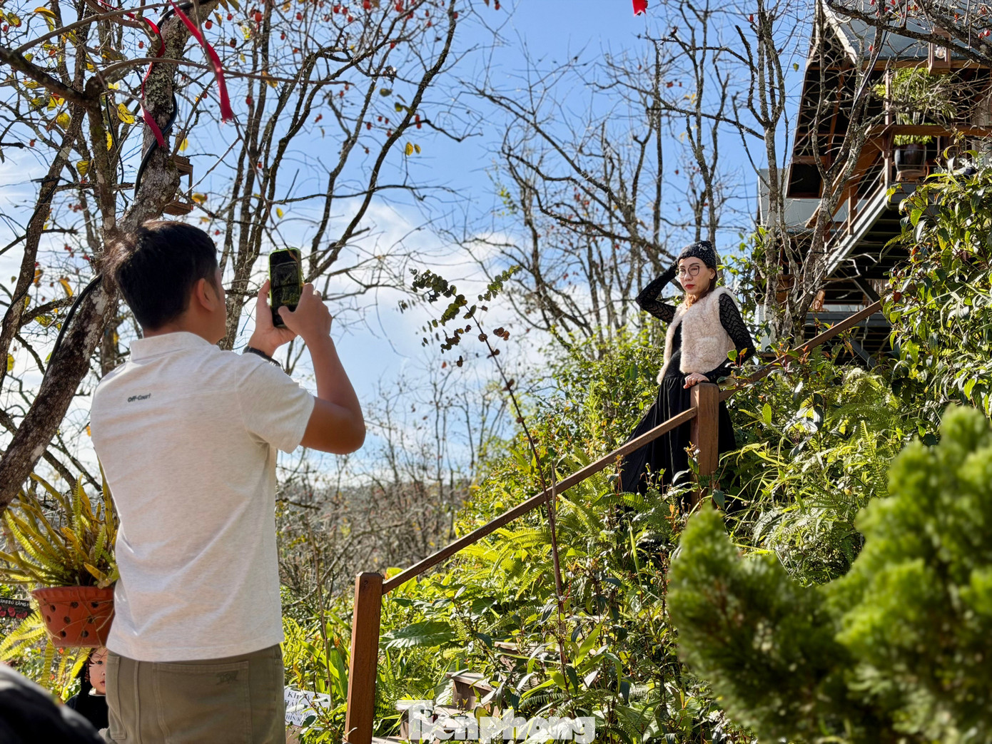 Du khách nô nức check-in giữa vườn hồng chất chill Đà Lạt- Ảnh 15.