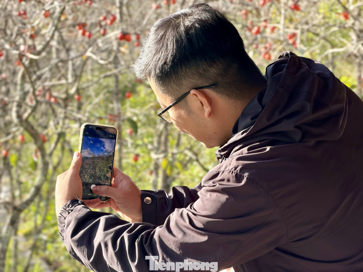 Du khách nô nức check-in giữa vườn hồng chất chill Đà Lạt- Ảnh 8.