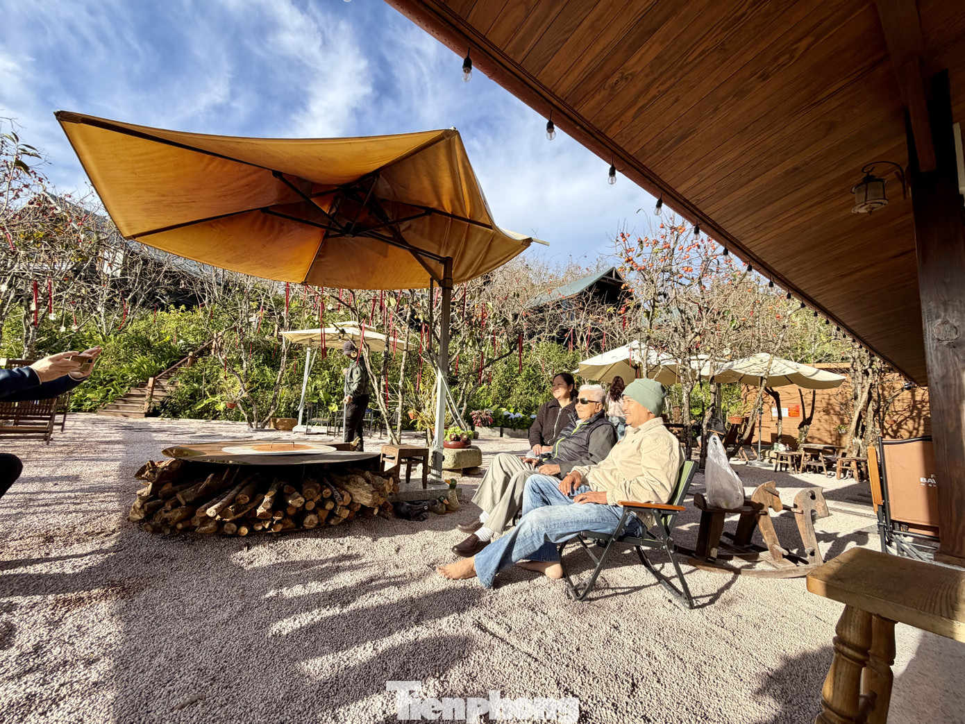 Du khách nô nức check-in giữa vườn hồng chất chill Đà Lạt- Ảnh 16.