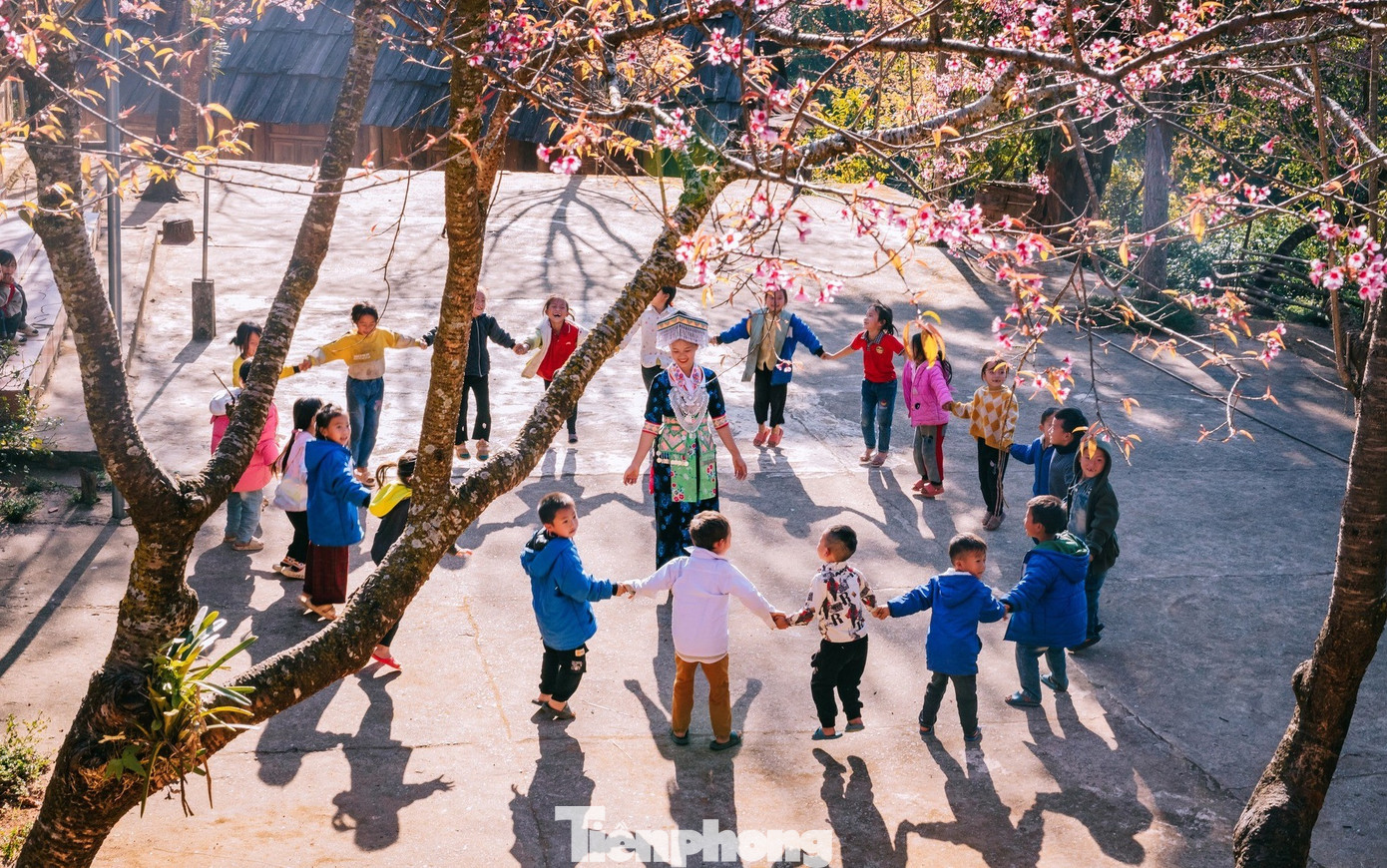 Đẹp nao lòng những bông hoa anh đào ở miền biên viễn xứ Nghệ- Ảnh 7.