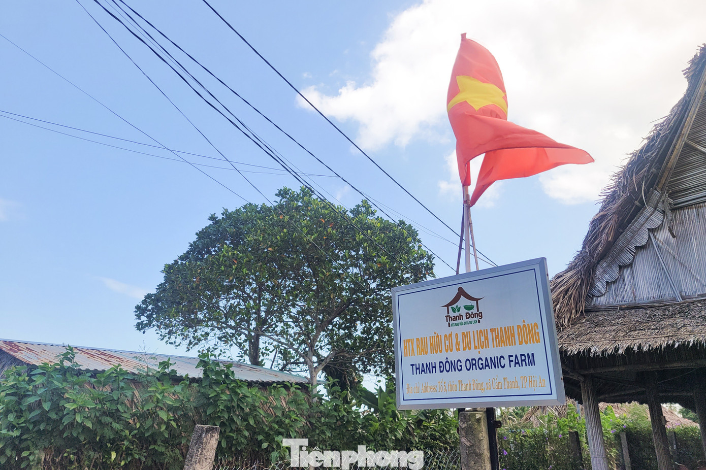 Khách Tây hào hứng làm nông dân gánh nước, trồng rau- Ảnh 2.