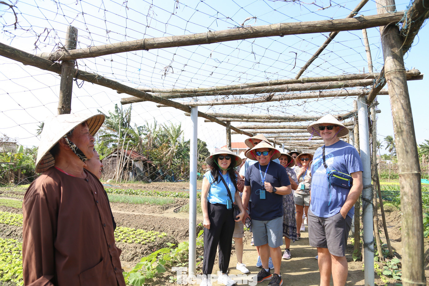 Khách Tây hào hứng làm nông dân gánh nước, trồng rau- Ảnh 4.
