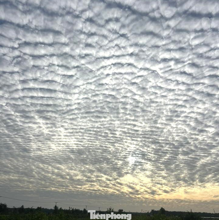Giải mã hiện tượng ‘lưới mây’ bao phủ bầu trời TP.HCM- Ảnh 2.