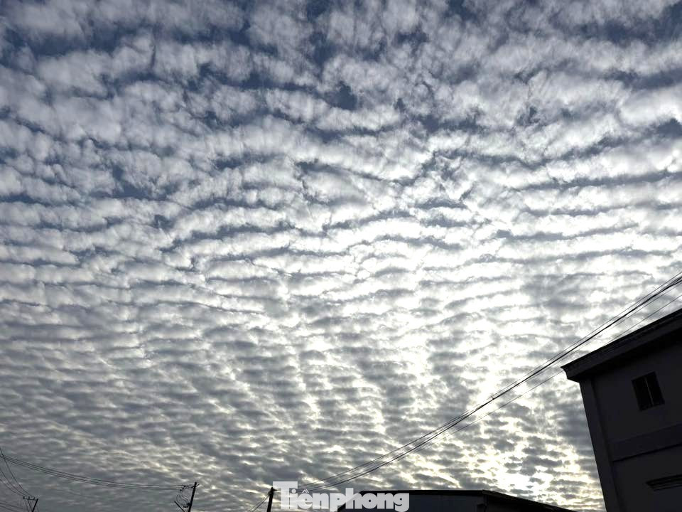 Giải mã hiện tượng ‘lưới mây’ bao phủ bầu trời TP.HCM- Ảnh 5.