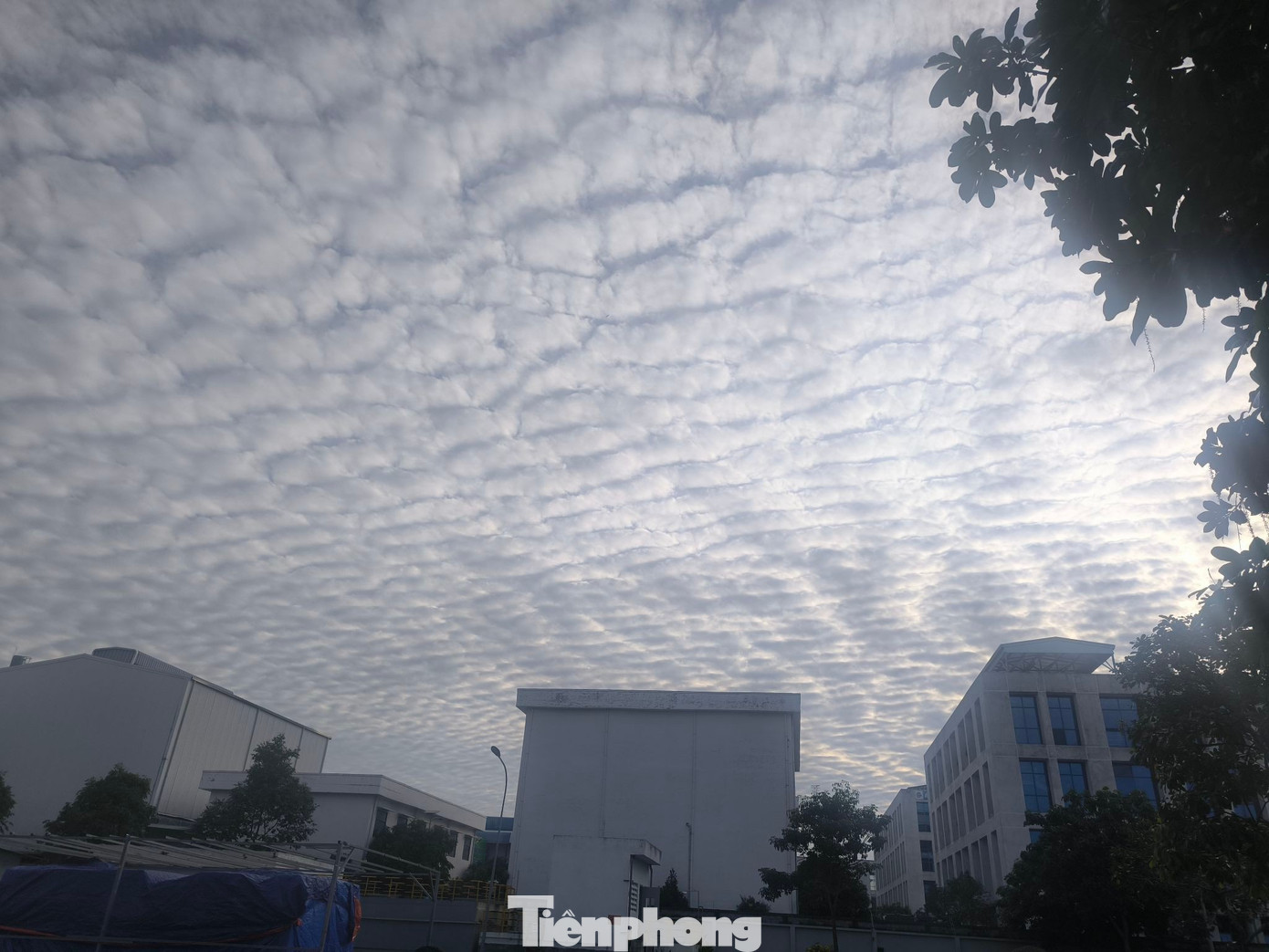 Giải mã hiện tượng ‘lưới mây’ bao phủ bầu trời TP.HCM- Ảnh 8.