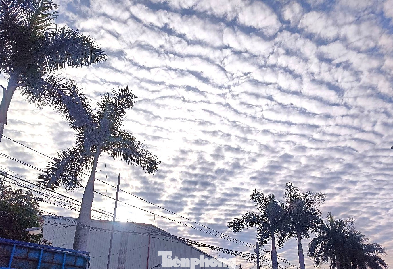 Giải mã hiện tượng ‘lưới mây’ bao phủ bầu trời TP.HCM- Ảnh 3.