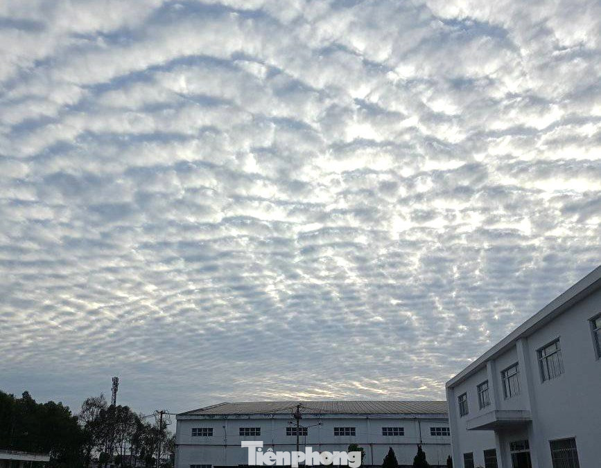 Giải mã hiện tượng ‘lưới mây’ bao phủ bầu trời TP.HCM- Ảnh 9.