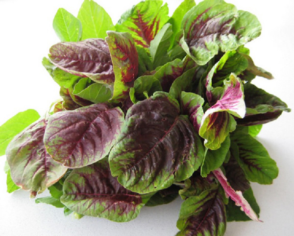 2 loại rau "tăng chiều cao" cho trẻ cực giàu canxi, nhất cái số 1 ngoài chợ bán đầy- Ảnh 1.