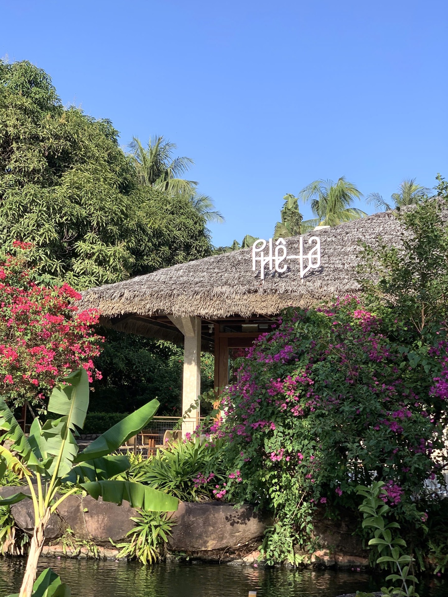 Tốn 1 triệu đồng mới được quyền mua một ly Phê La, chi nhánh mới khiến khách nghe xong muốn quay xe gấp- Ảnh 7. Tốn 1 triệu đồng mới được quyền mua một ly Phê La, chi nhánh mới khiến khách nghe xong muốn quay xe gấp- Ảnh 7.