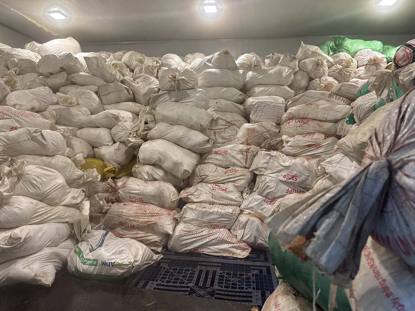 Khám phá vụ phát hiện 60 tấn lòng heo hôi thối tại Hà Nội - Ảnh 1. Khám phá vụ phát hiện 60 tấn lòng heo hôi thối tại Hà Nội - Ảnh 1.