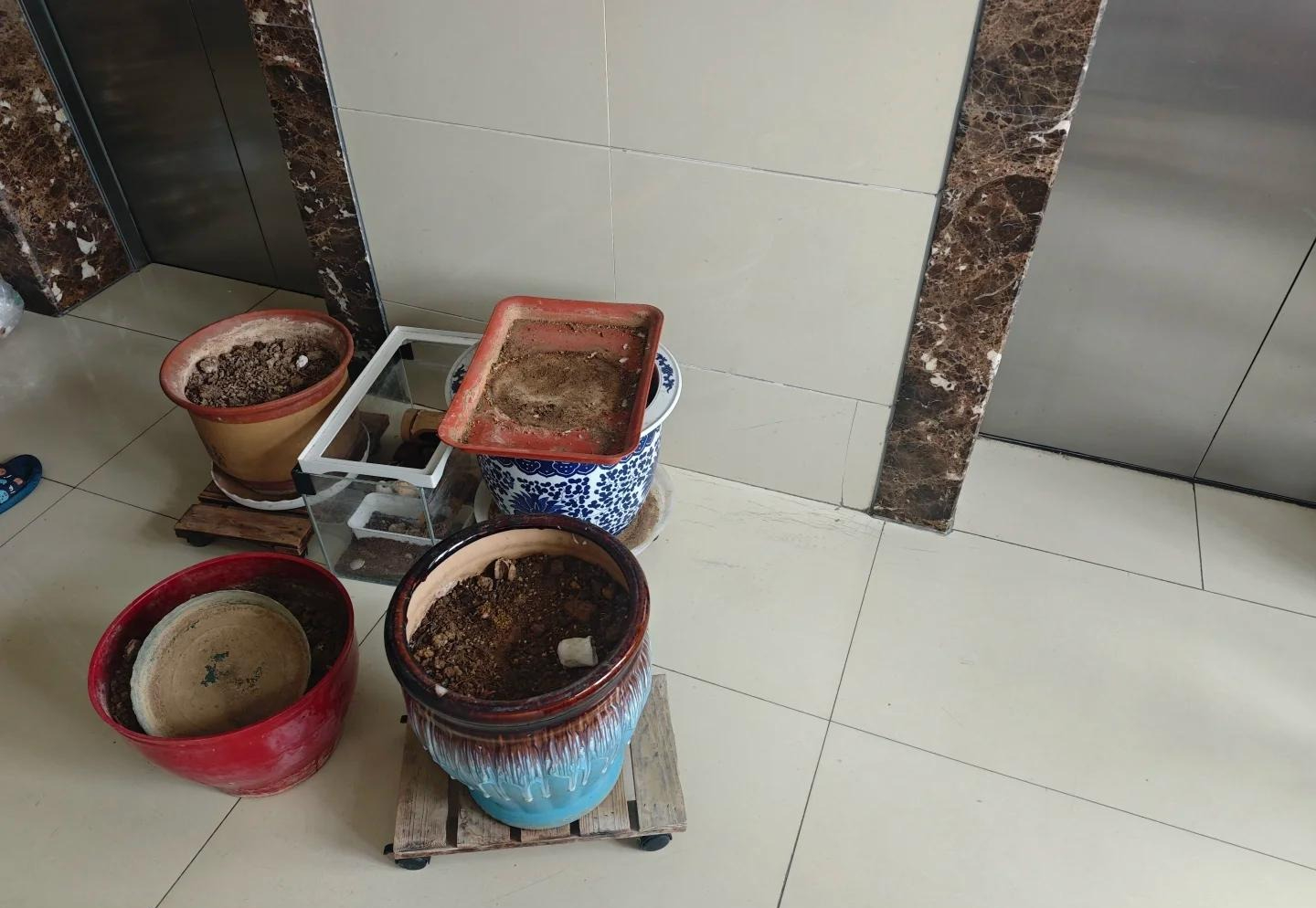 Trong nhà có 10 thứ "nặng vía", không tiễn đi trước Tết thì lận đận cả năm - Ảnh 3.